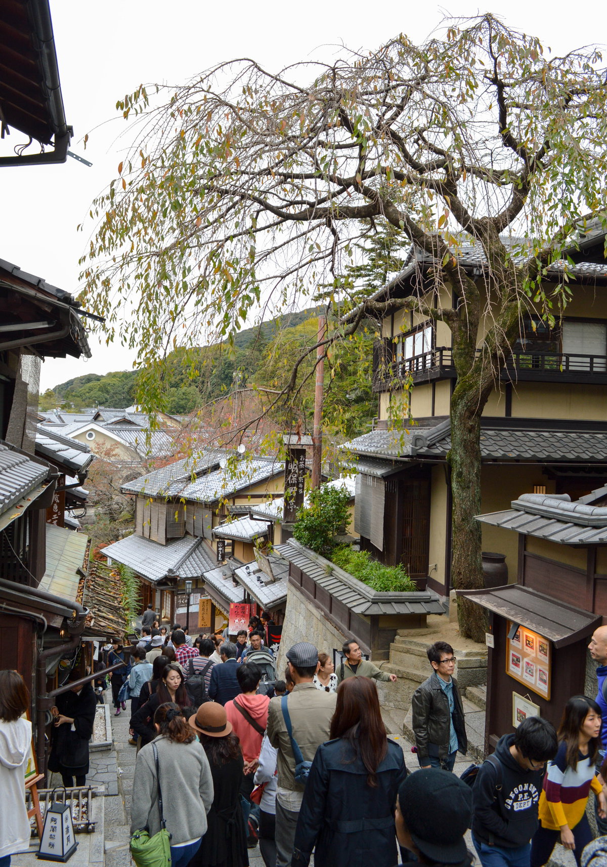 Crowded Alleys, Kyoto, Japan, 2015