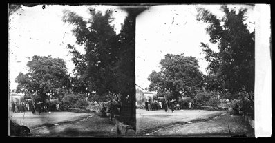 EU: A grassy clearing surrounded by trees, Taiwan-fu, Formosa (1871), Tainan, 1871