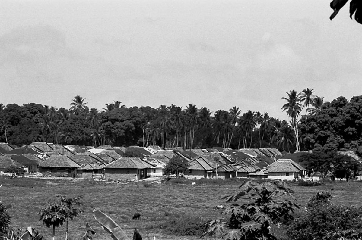 EU: Afrikaresa, Zanzibar - village panorama (1961) - J9yE, Zanzibar City, Tanzania, 1961