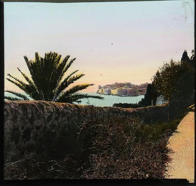 EU: Dubrovnik: view of old town through palm trees (1900), Dubrovnik, Croatia, 1900