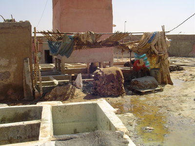 Marrakech tanneries, Marrakech, 2006