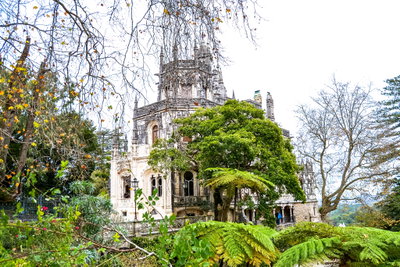 Garden Castle, Sintra, 2016