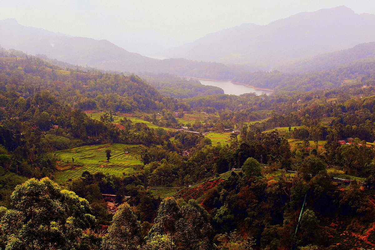 Beauty in Sri Lankan Up Country, Nuwara Eliya, Sri Lanka, 2020