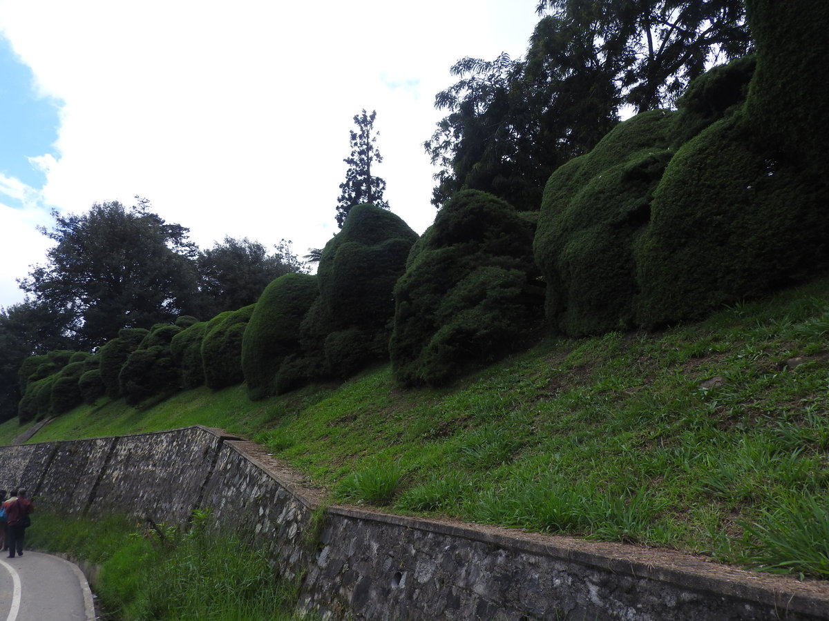 Hakgala botanical garden-1-nuwara eliya-Sri Lanka, Nuwara Eliya, Sri Lanka, 2019