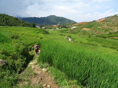 Rice terraces in Sa Pa 11, Sa Pa, 2018