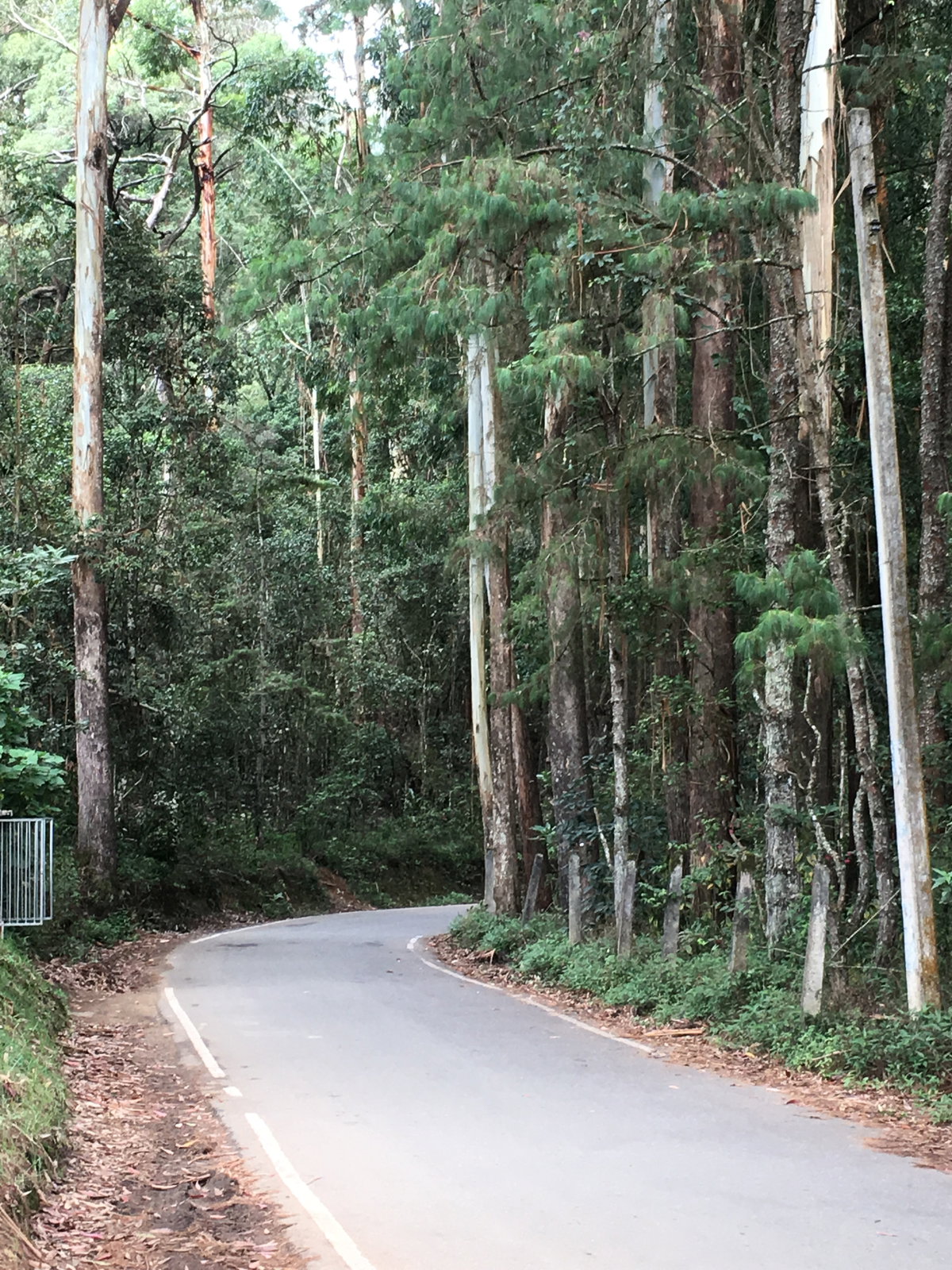 Roadside captures in Nuwara Eliya, Nuwara Eliya, Sri Lanka, 2019