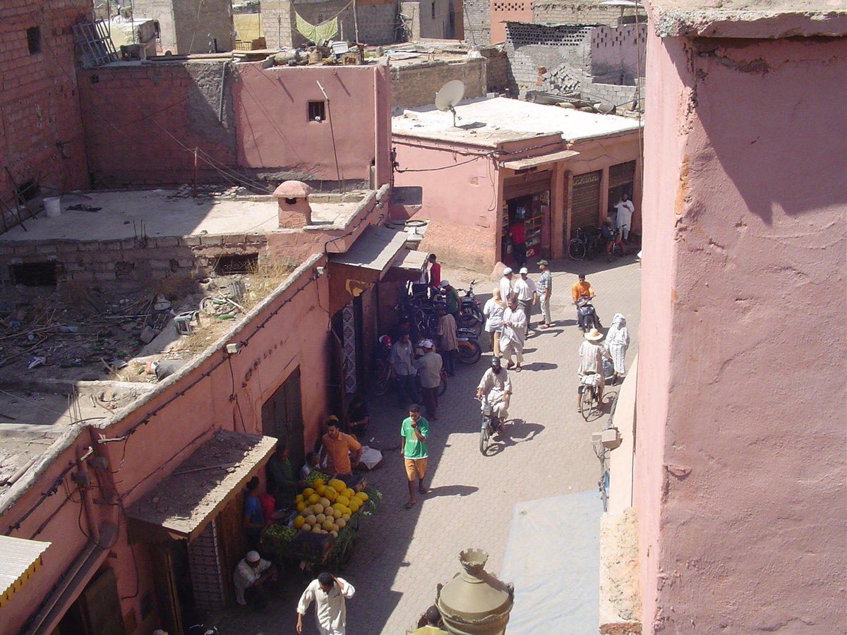 Marrakech tanneries, Marrakech, Morocco, 2006