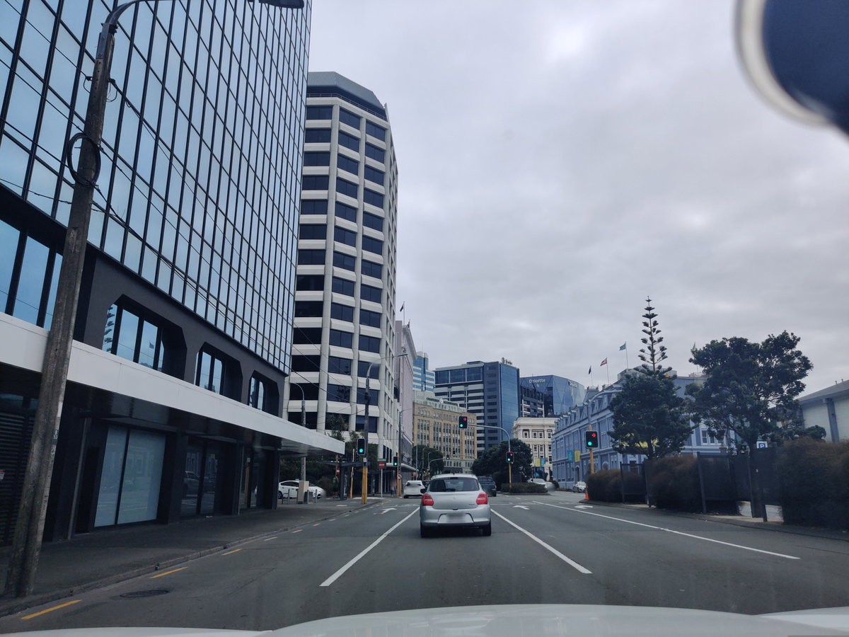 Mapillary (806919583566013, t5nqc5gmmyurknlocmdu5j) (elphix), Wellington, New Zealand, 2021