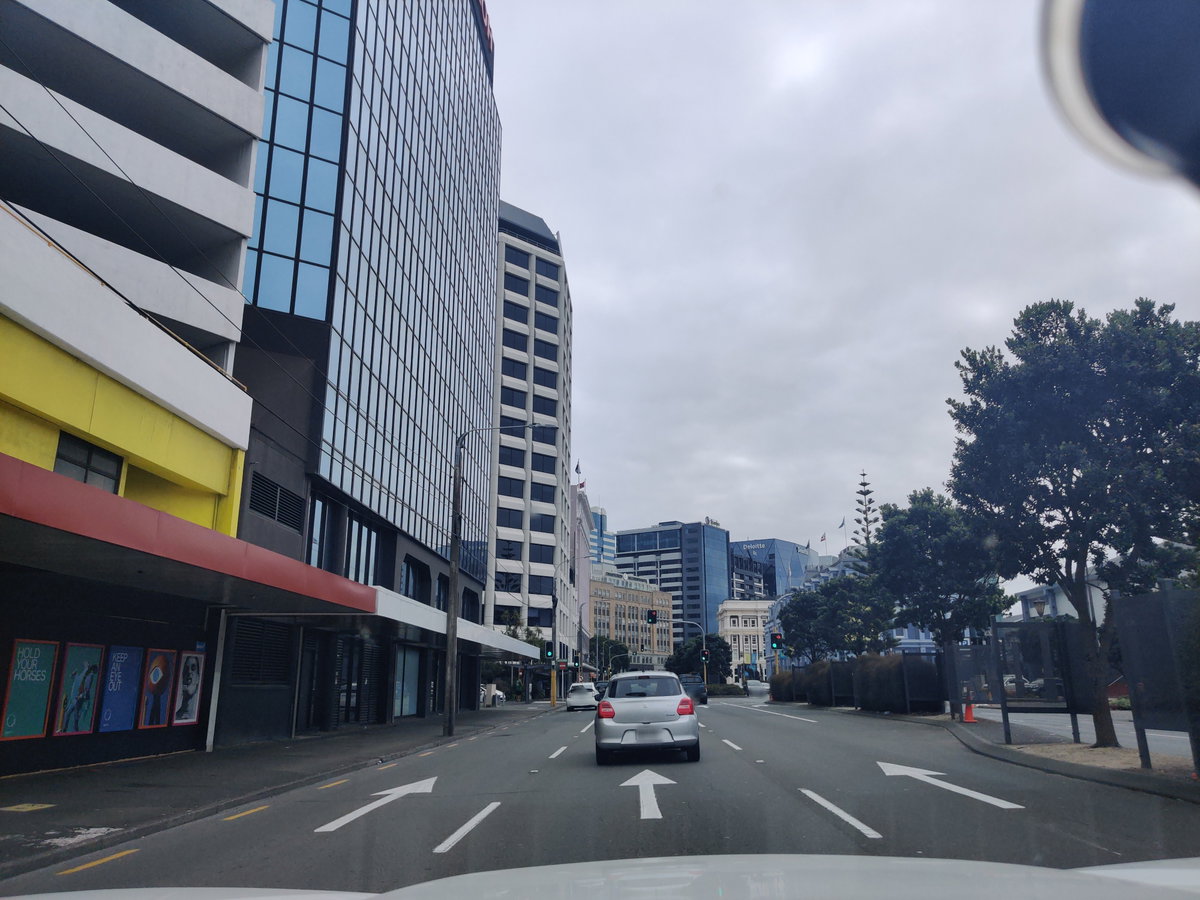 Mapillary (333479128199189, t5nqc5gmmyurknlocmdu5j) (elphix), Wellington, New Zealand, 2021