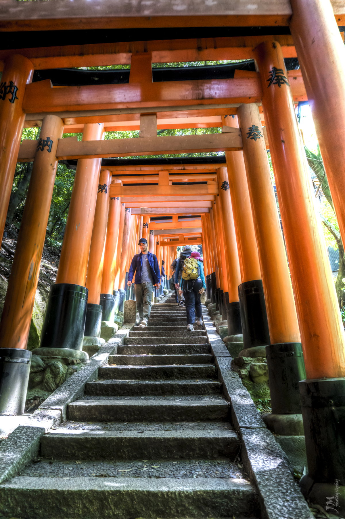 Fushimi Inari, Kyoto, Japan, 2017