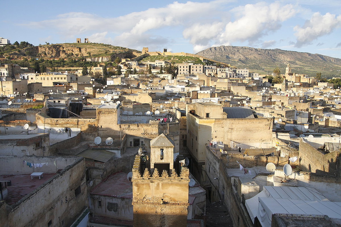 La médina de Fès vue de la terrasse, Fez, Morocco, 2008