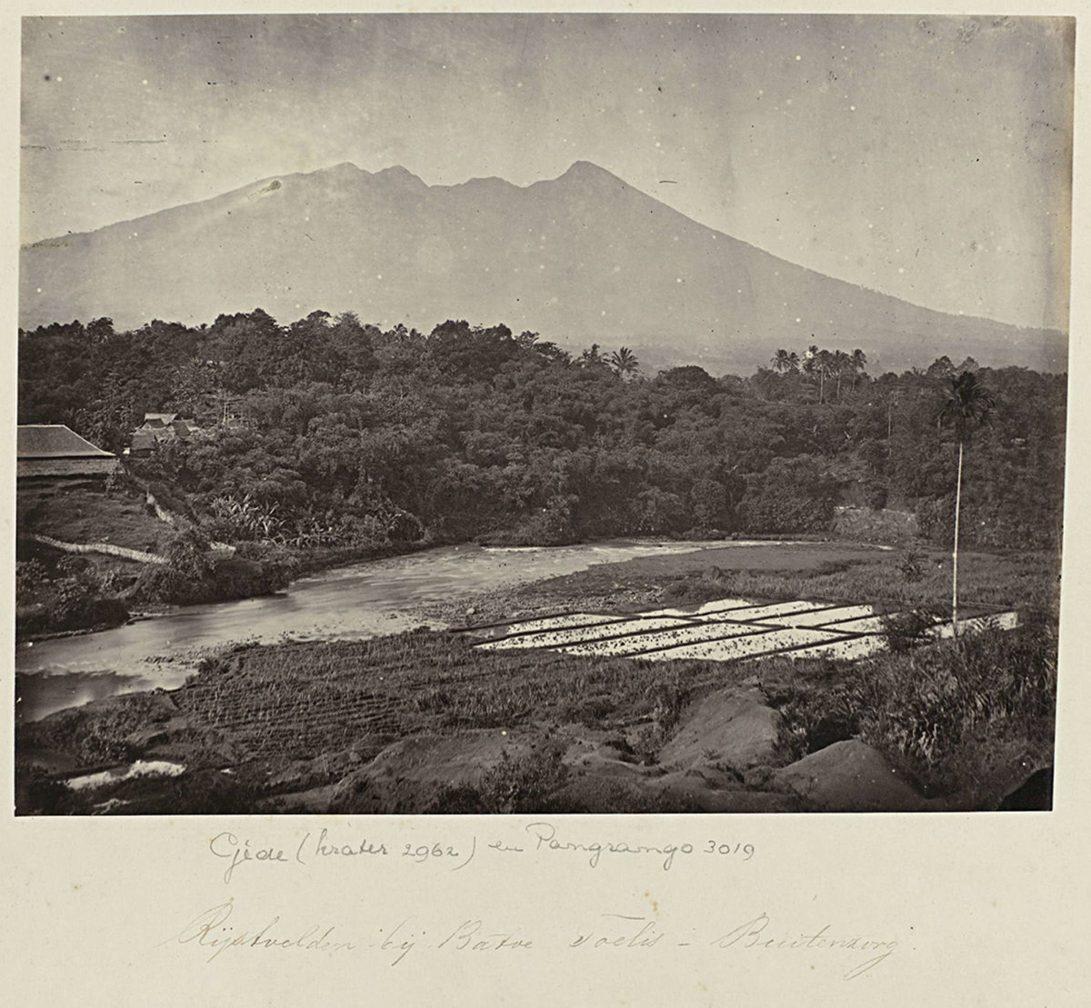 EU: Rijstvelden bij Batoe Toelis - Buitenzorg (1863), Bogor, Indonesia, 1863