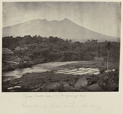 EU: Rijstvelden bij Batoe Toelis - Buitenzorg (1863), Bogor, 1863
