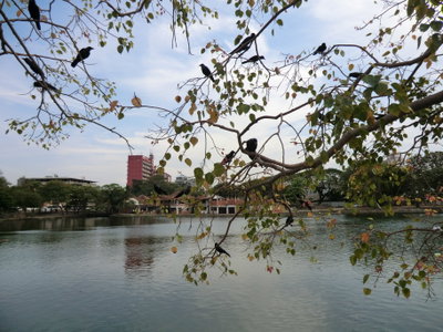 Wekanda, Colombo, Sri Lanka, Colombo, 2012