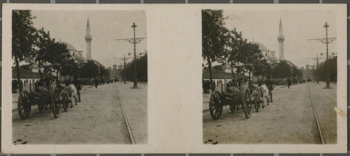 EU: No. 65. I suffered. - Bulevar Maria Luisa. (1933), Sofia, Bulgaria, 1933