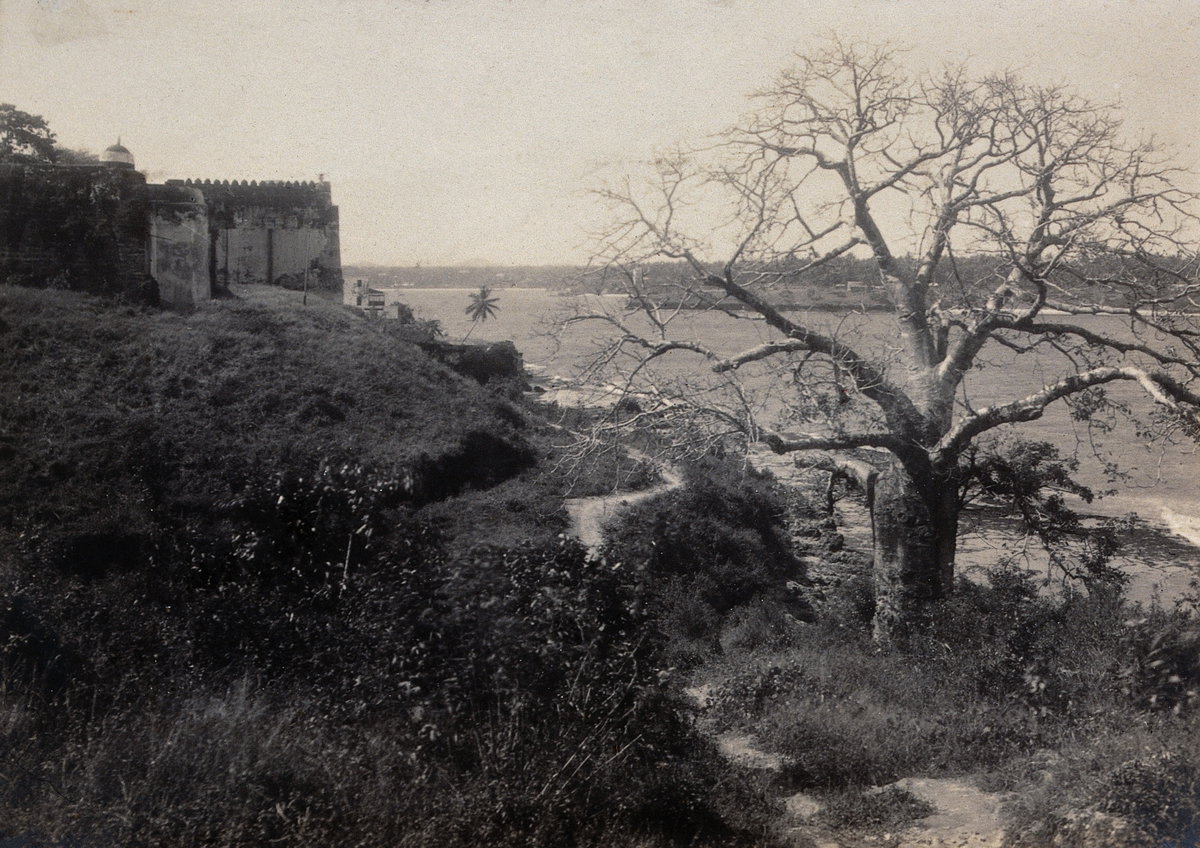 Kenya; Mombasa. Photograph by Hon. Geoffrey L. Parsons, 1905 Wellcome, Mombasa, Kenya, 1905