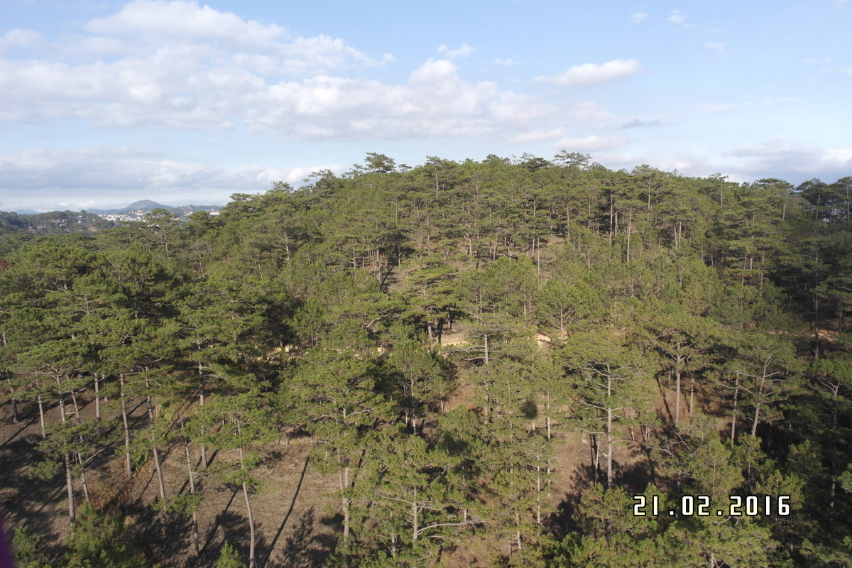 Cáp Treo Đà Lạt, Da Lat, Vietnam, 2016