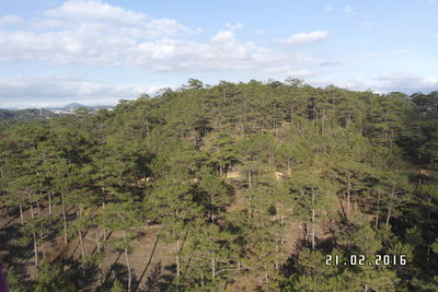 Cáp Treo Đà Lạt, Da Lat, 2016