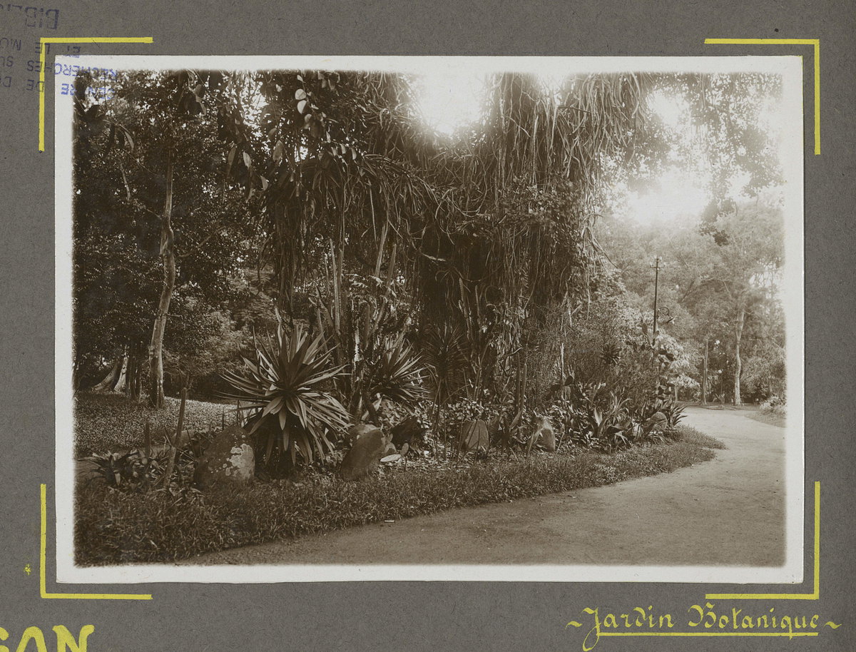 Saigon -- Jardin botanique, Ho Chi Minh City, Vietnam, 1930