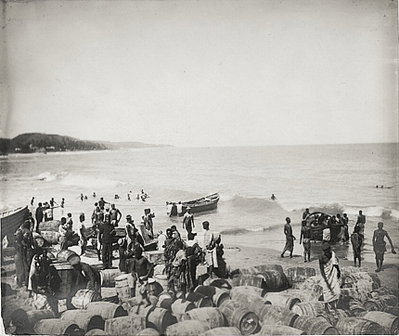 The National Archives UK - CO, Cape Coast, 1890