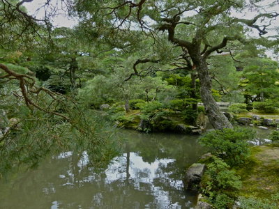 View in Zest Oike Shopping Street, Kyoto — photos through time