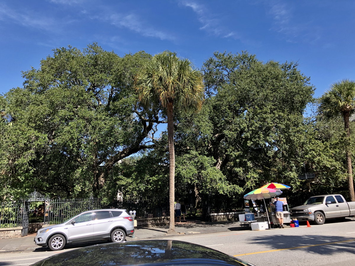 Washington Square, French Quarter, Charleston, SC, Charleston, South Carolina, USA, 2019