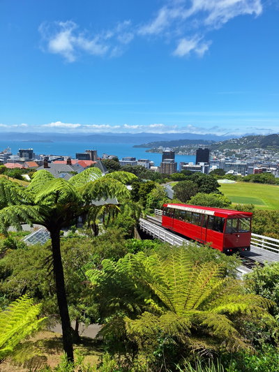 Wellington Cable Car and tree ferns, Wellington, 2025