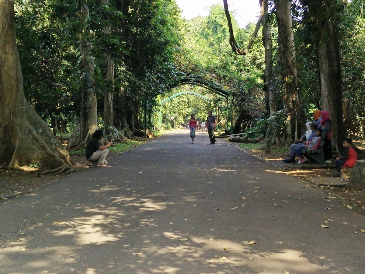 Bogor botanical gardens 2016 23, Bogor, Indonesia, 2016