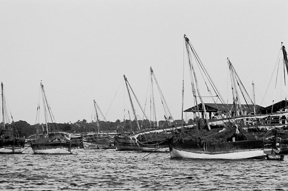EU: Afrikaresa, Zanzibar (1961), Zanzibar, Tanzania, 1961