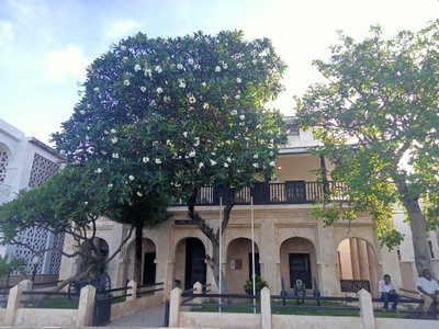 Lamu Museum, Lamu, 2023