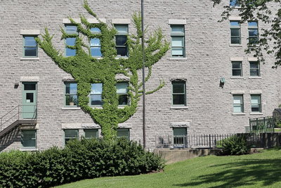 Hotel de ville de Quebec 63, Quebec City, 2021