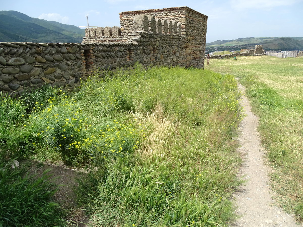 Hilltop Castle - Gori - Georgia, Gori, Georgia, 2015
