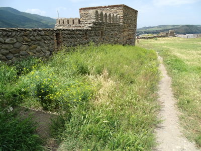 Hilltop Castle - Gori - Georgia, Gori, 2015