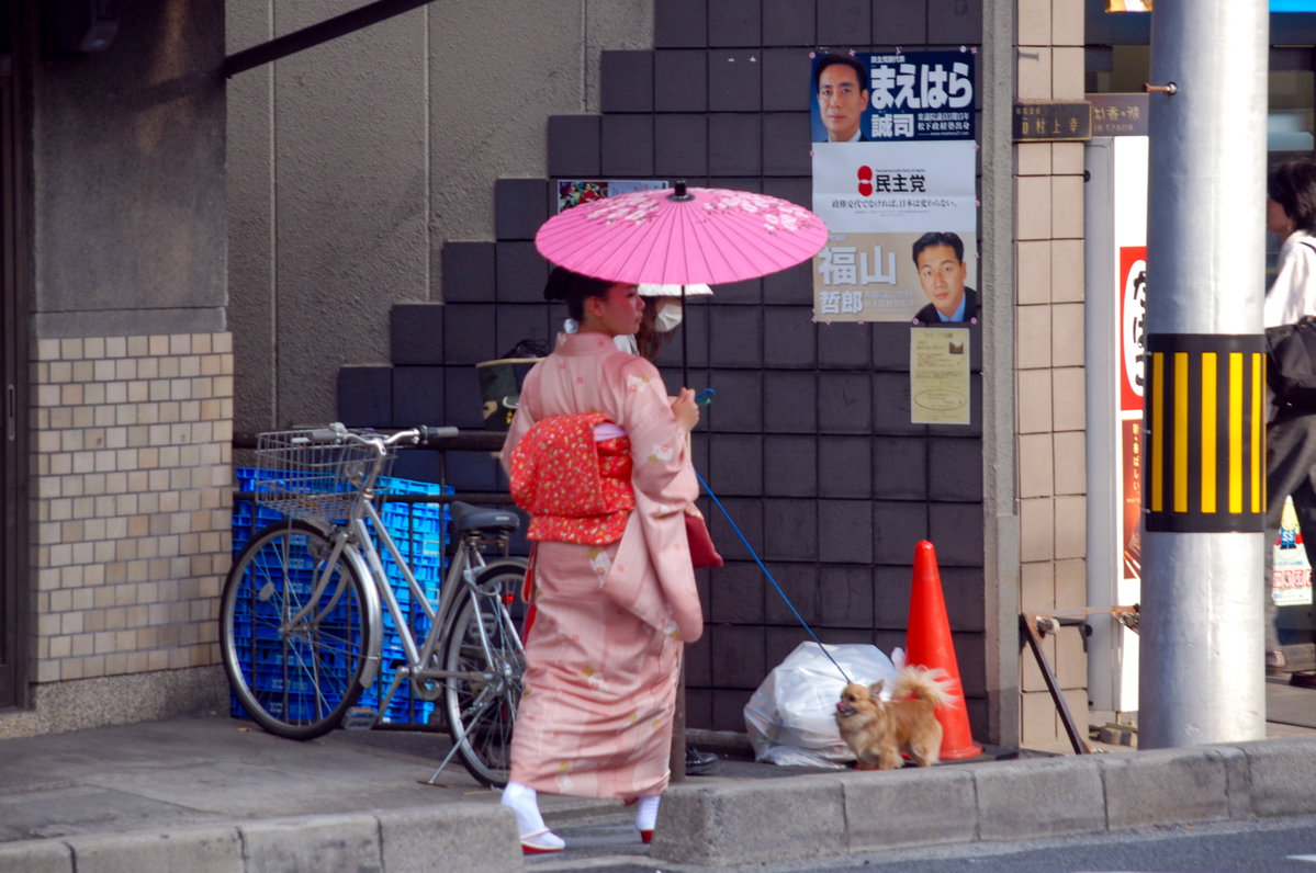 犬散歩, Kyoto, Japan, 2009