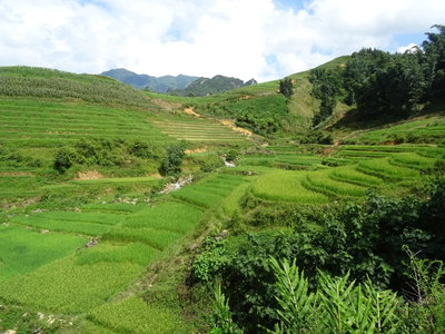 Rice terraces in Sa Pa 03, Sa Pa — photos through time