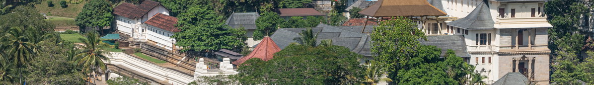 SL Kandy BANNER, Kandy, Sri Lanka, 2020