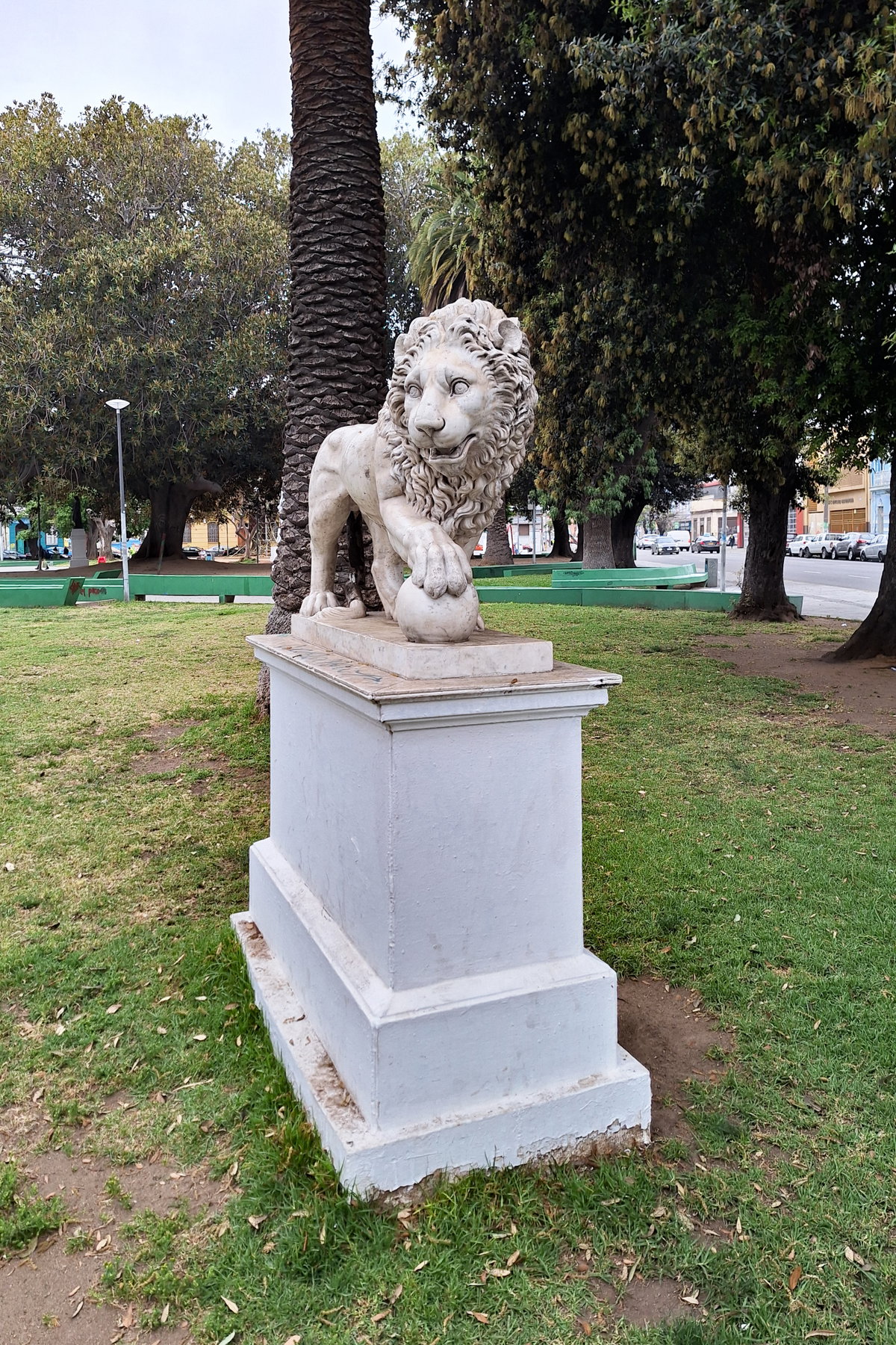 León en Parque Italia, Valparaíso, Valparaíso, Chile, 2024