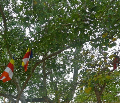 Anuradapura Jaya Sri Maha Temple, Anuradhapura — photos through time