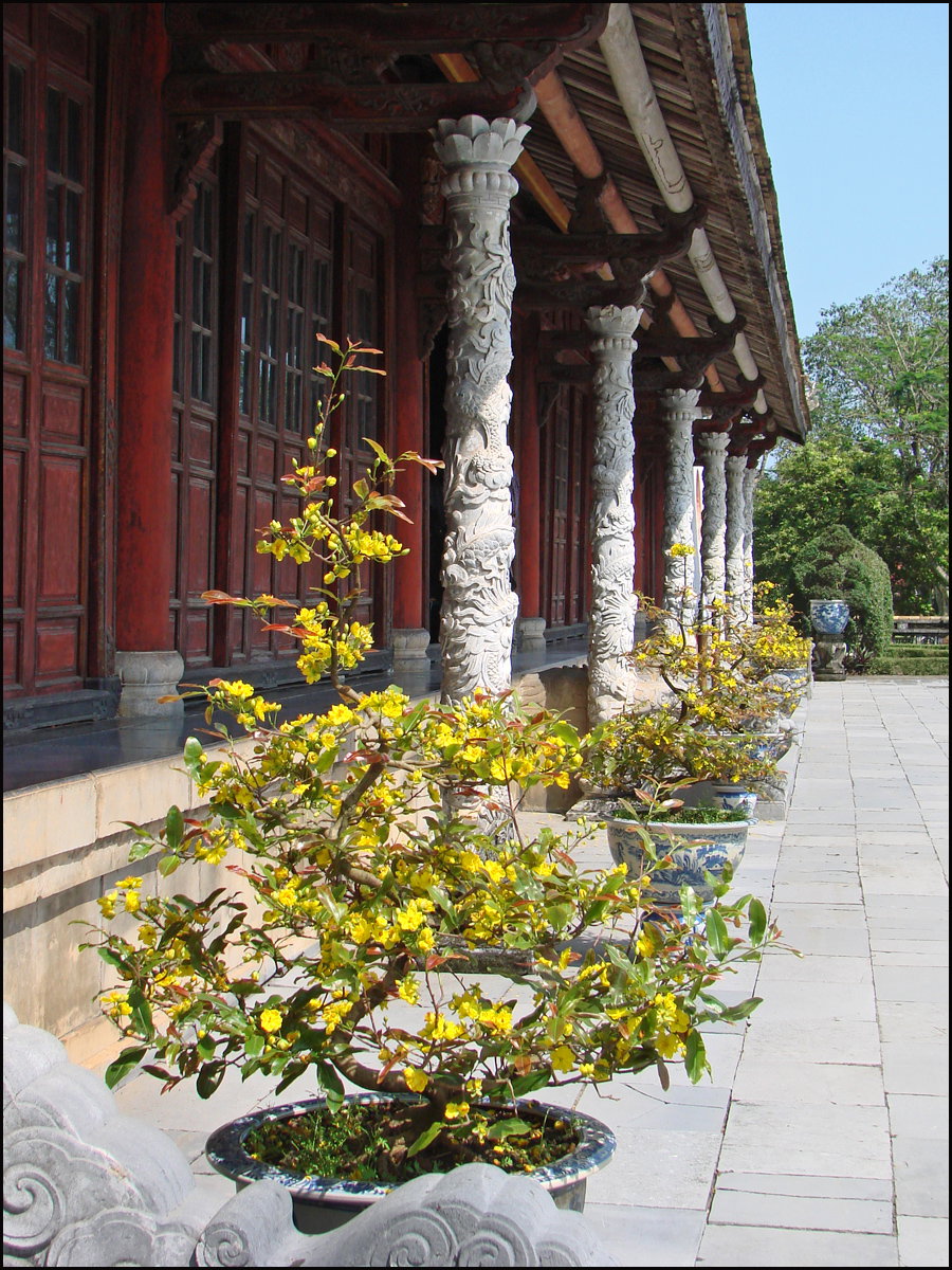 Le Palais de lHarmonie Suprême (Cité impériale, Hué), Hue, Vietnam, 2010