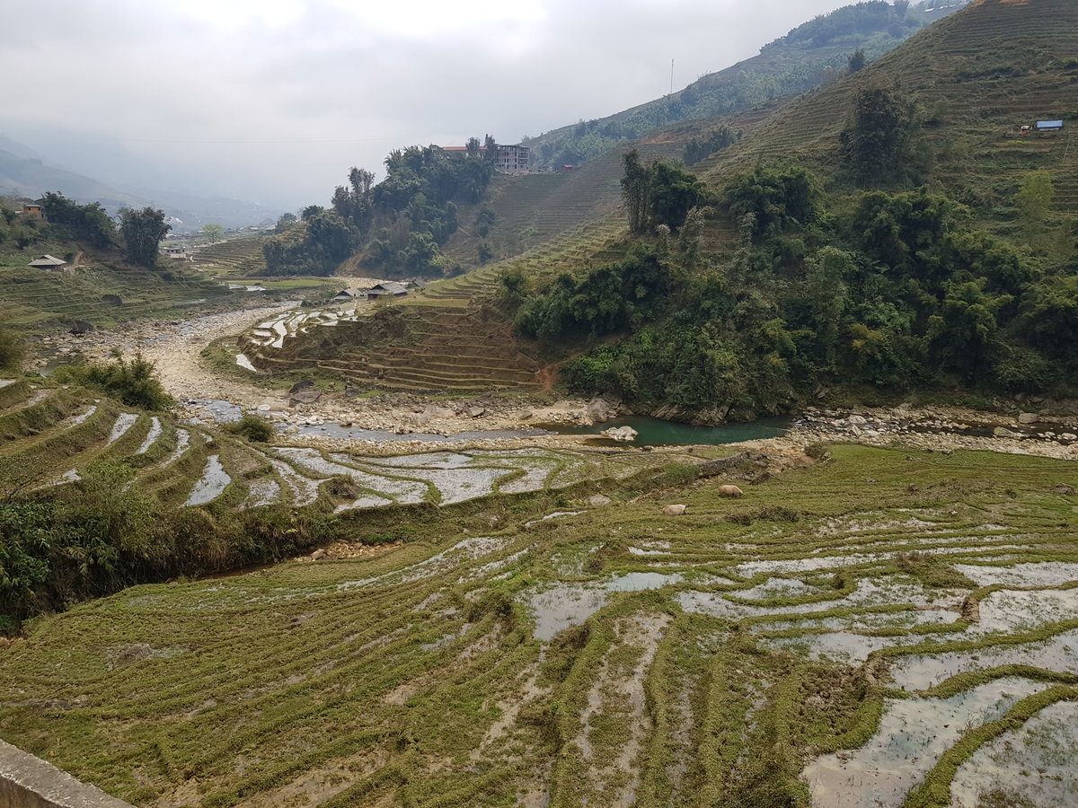 Ta Van Muong Ha vallei (75482), Sa Pa, Vietnam, 2025