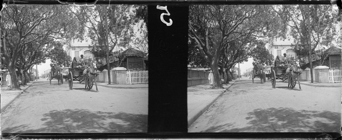 EU: Rue à Dakar avec attelages, Sénégal #1428 (1912), Dakar, Senegal, 1912