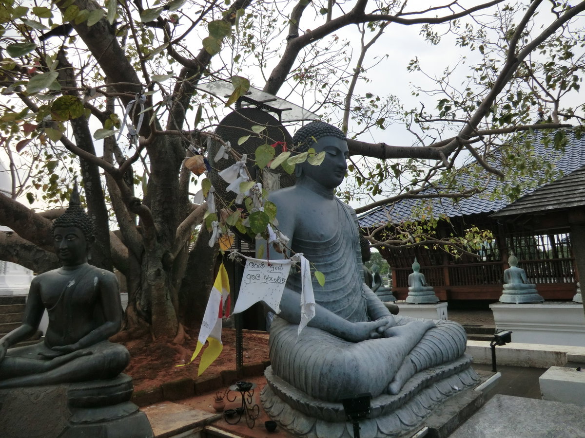 Wekanda, Colombo, Sri Lanka, Colombo, Sri Lanka, 2012