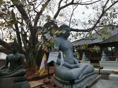 Wekanda, Colombo, Sri Lanka, Colombo, 2012