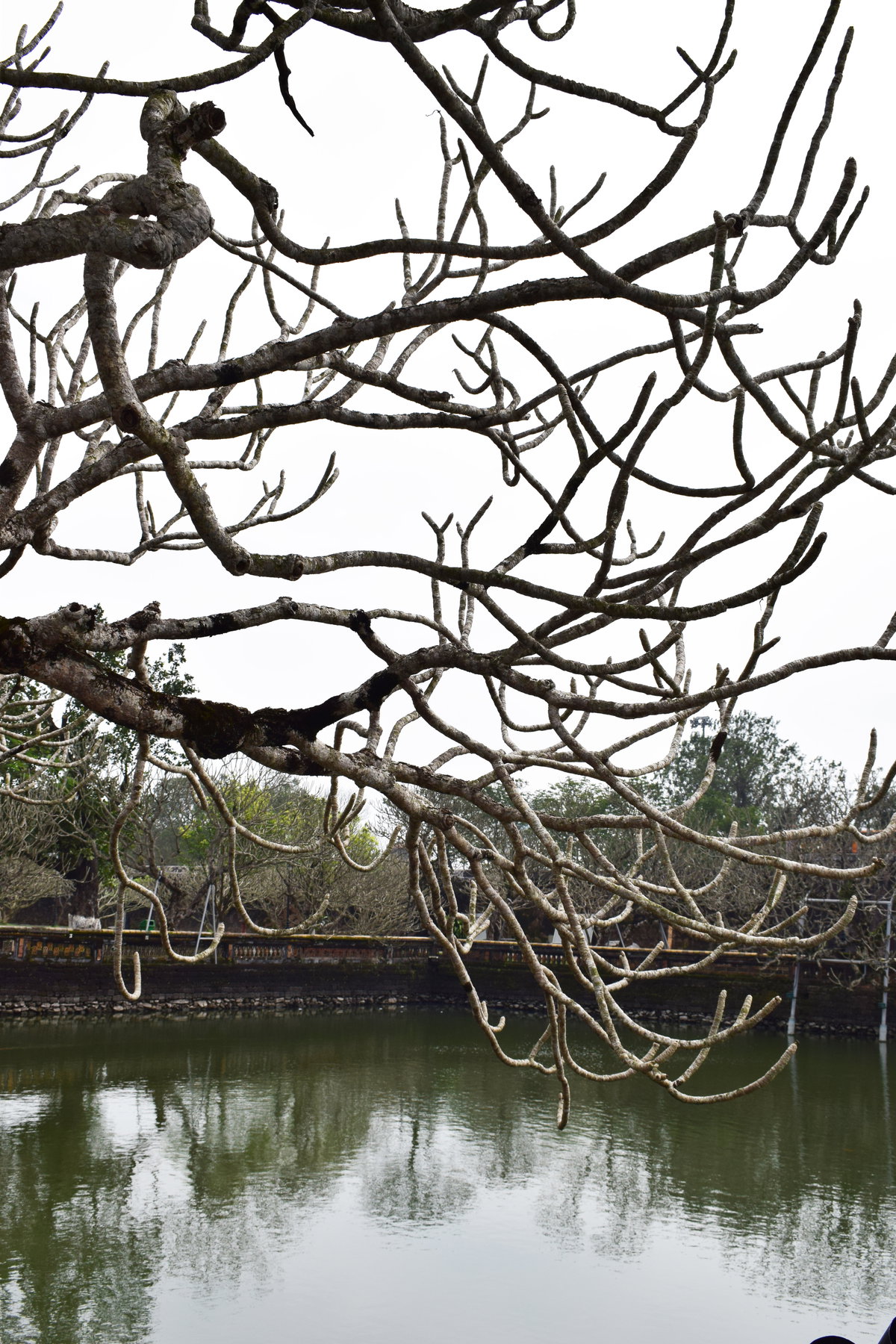 Inside Huế Citadel, Hue, Vietnam, 2018