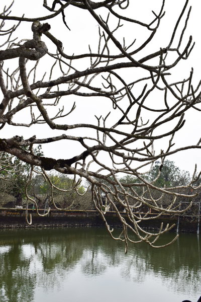 Inside Huế Citadel, Hue, 2018