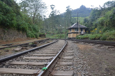 Nuwara Eliya, Sri Lanka, Nuwara Eliya, 2016