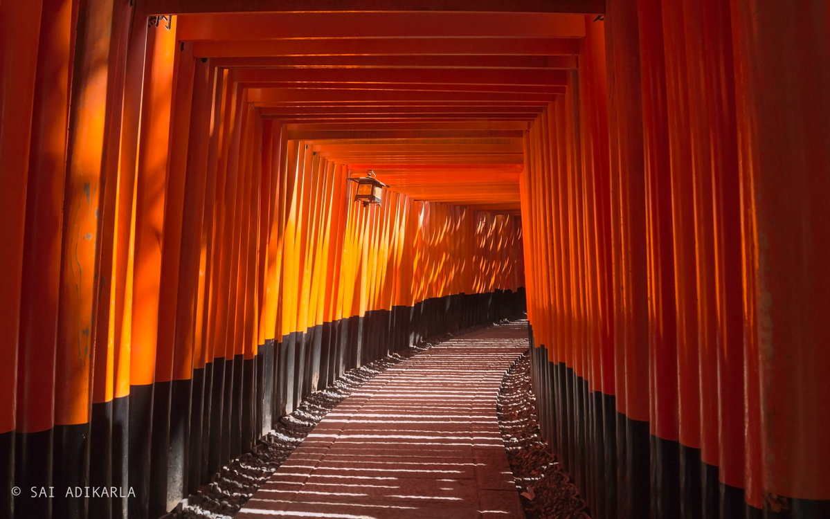 Torii Gates - Flickr - Sai Adikarla, Kyoto, Japan, 2018
