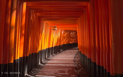 Torii Gates - Flickr - Sai Adikarla, Kyoto, 2018