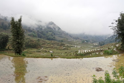 Paddy fields near Sa Pa, Vietnam, 1152, Sa Pa, 2024