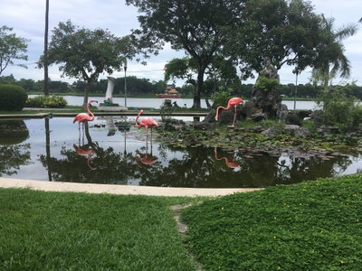 Fountain in Hue, Hue, 2018